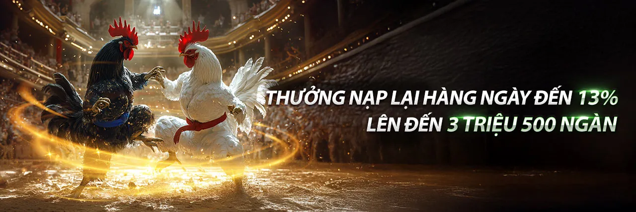 Tin tức mới nhất từ cdbet nhà cái 2026